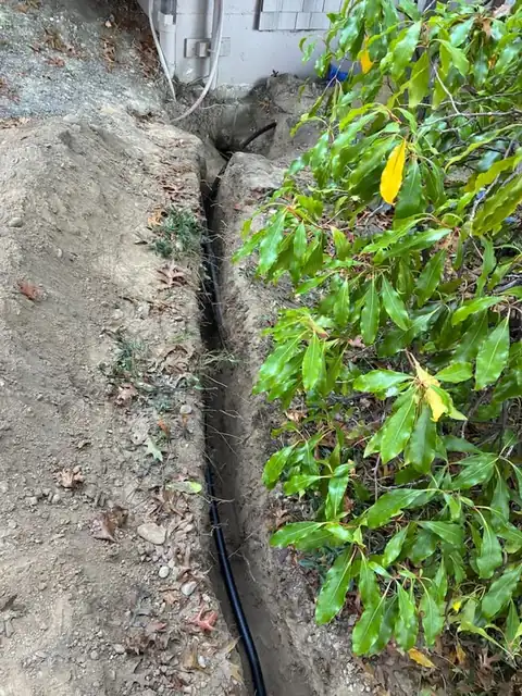 Black poly pipe in a narrow trench beside a laurel hedge
