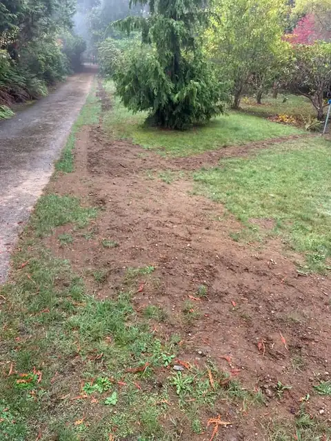Lawn regraded and smoothed beside a driveway after trench backfill