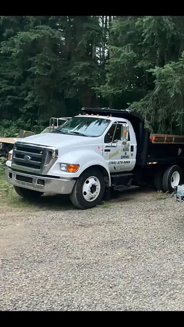 Ford F-650 dump truck parked in front of evergreen trees