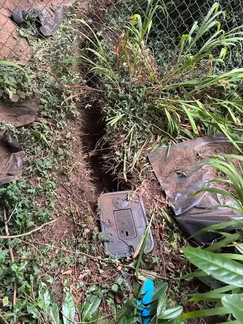 Water meter box exposed in overgrown brush with a narrow trench leading away from it