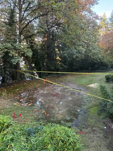 Caution tape across a wet lawn under large maple trees with marking flags