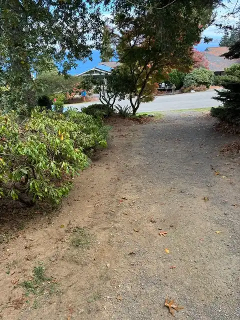 Gravel path regraded with water view beyond the trees