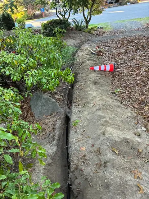Black poly water line laid in a trench along a hedge with a cone marking the end