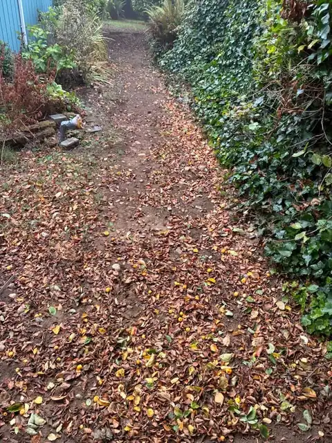 Leaf-covered garden path smoothed and restored after trenching
