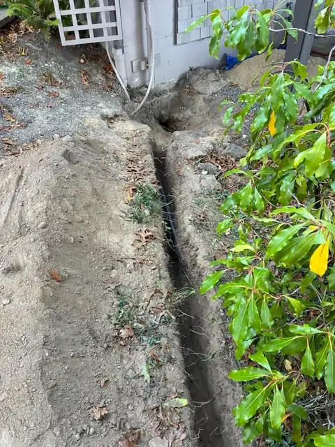 Black poly water line laid in a trench beside a laurel hedge and lattice