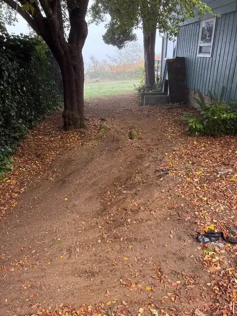 Dirt path between a house and ivy hedge regraded after a water line repair