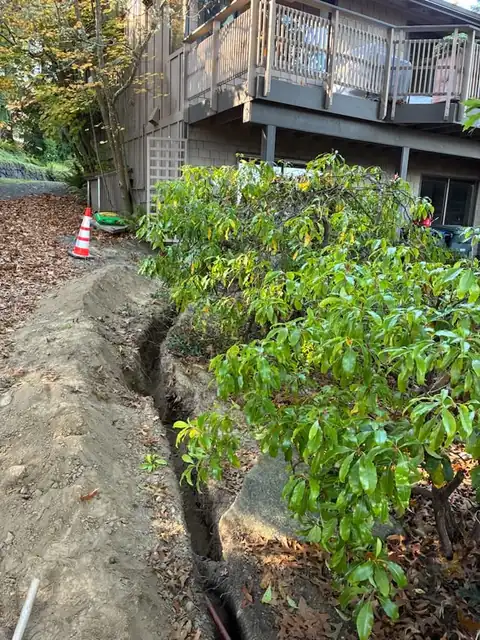 Trench past a hedge below a deck on a sloped wooded lot
