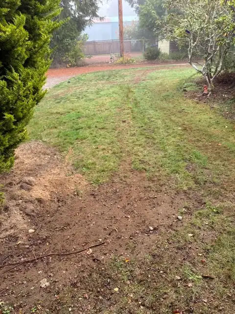 Backyard lawn restored with a soft trench line visible under morning fog